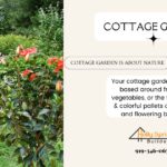 Cottage garden with path